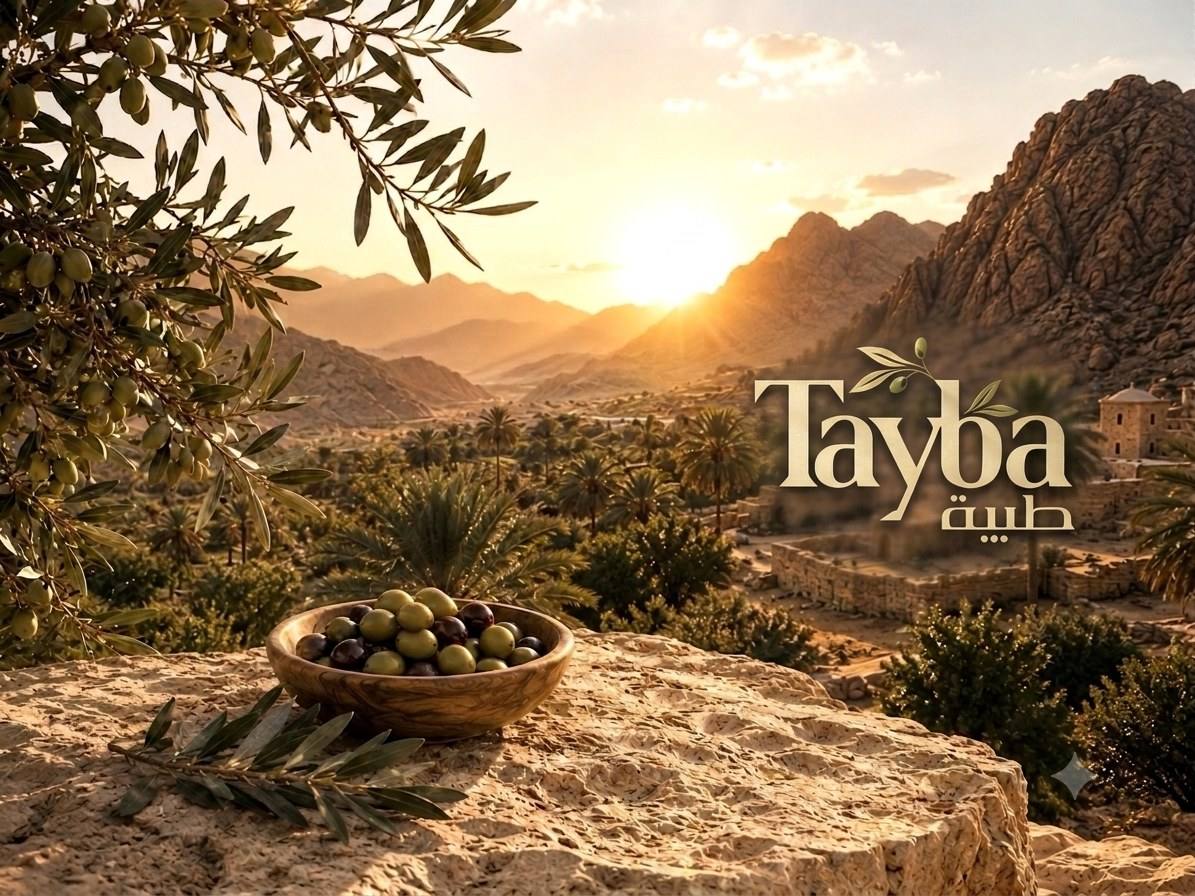 Tayba olive oil from the land of Sinai