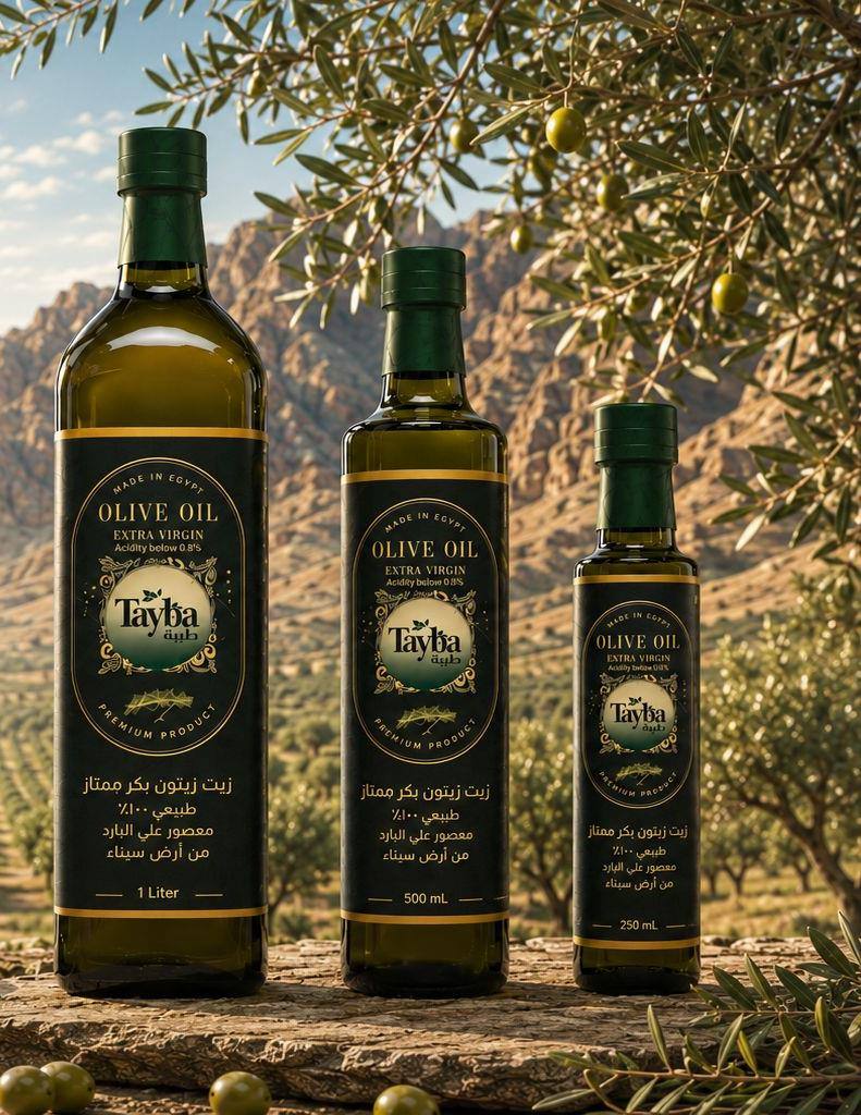 The blessed land of Sinai